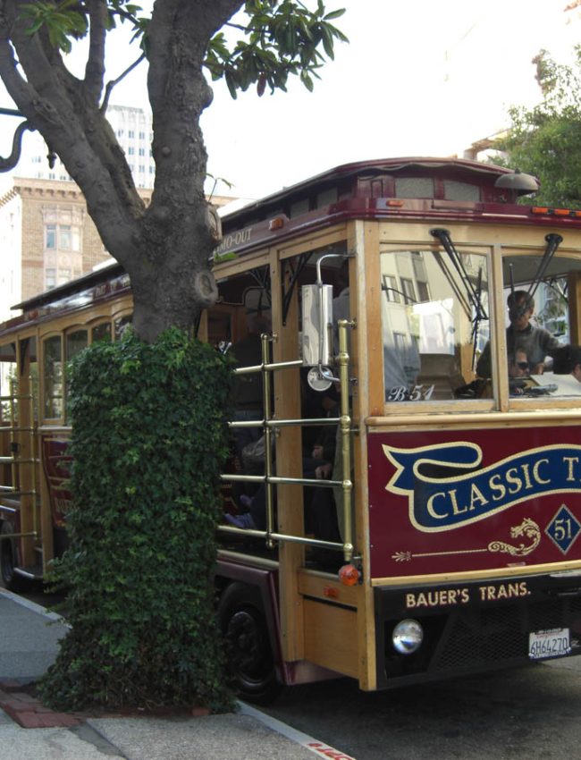 The-Line-Above-N-Below-Mazda-San-Francisco-e-Los-Cabos-00