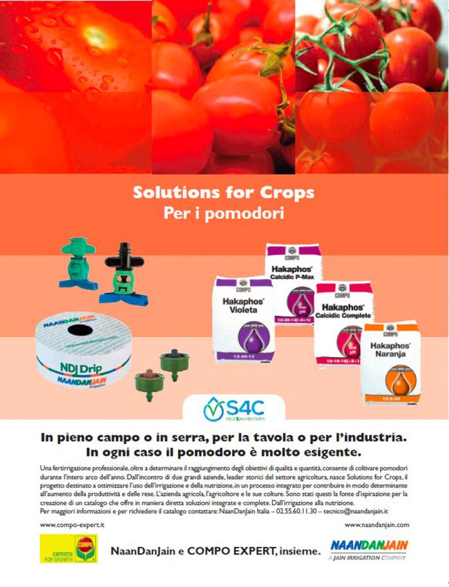 The-Line-Above-N-Comunicazione-20